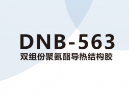 DNB-563